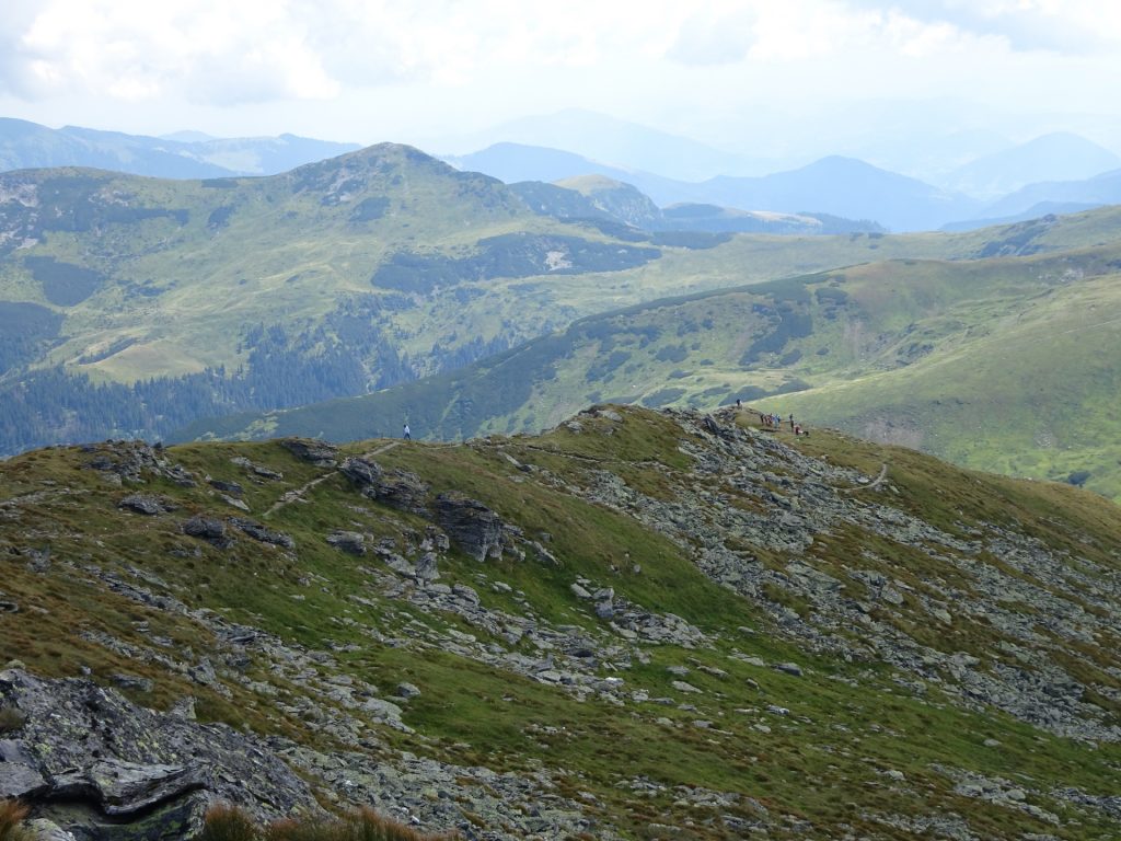 Hiking back to the saddle from "Pietrosul Rodnei"