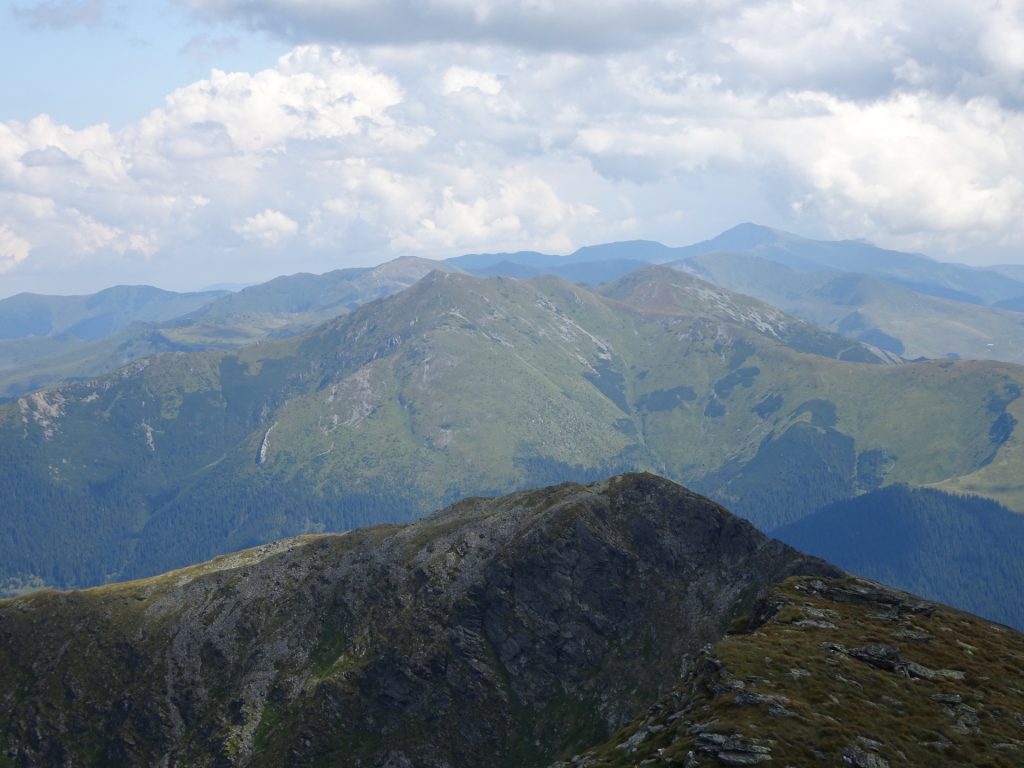 View from the saddle