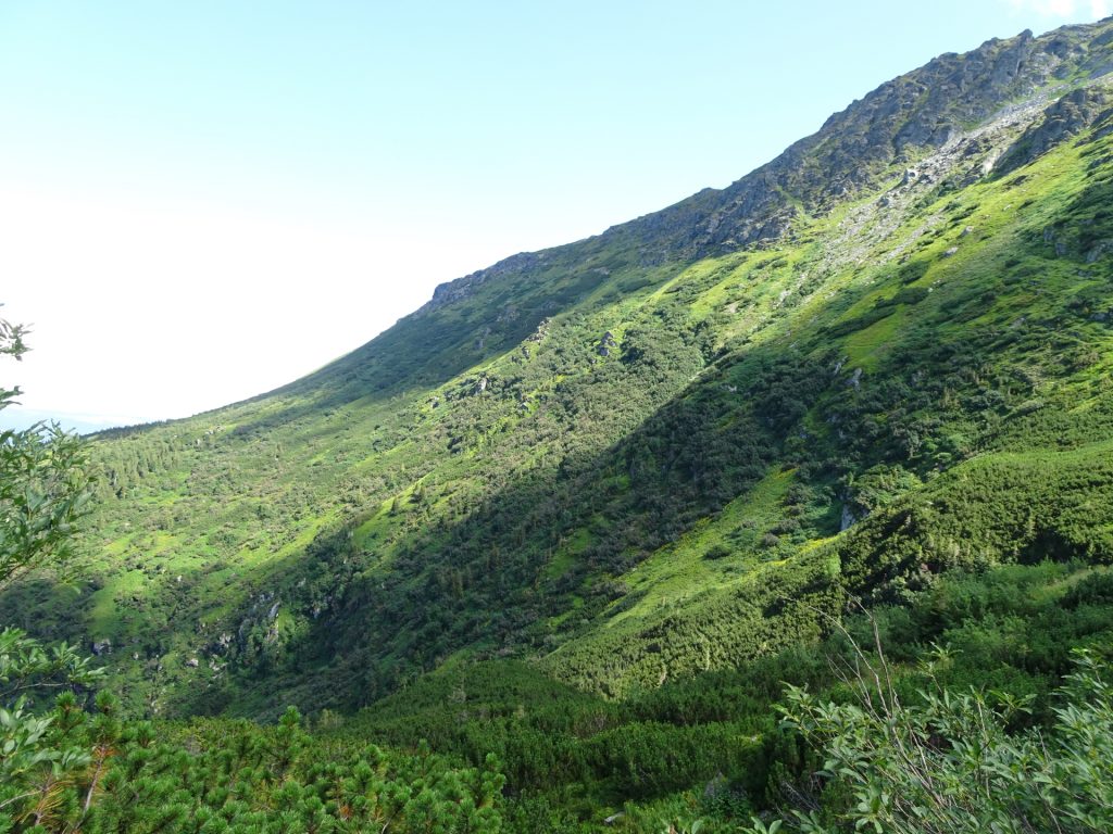 View from the trail descending back to the parking