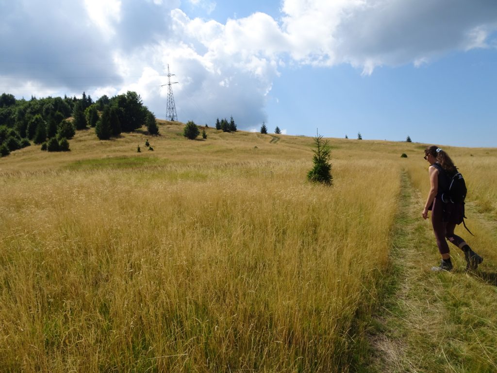 Debora hikes up towards "Creasta Cocoșului" through the meadows