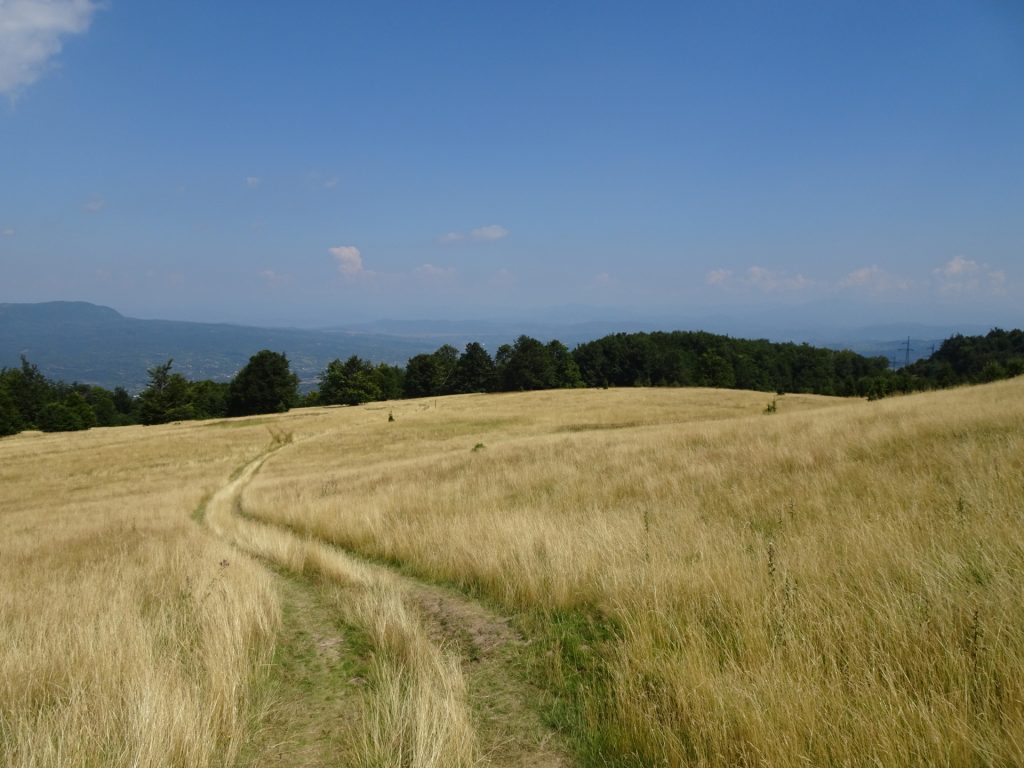 View back on the trail through the meadows