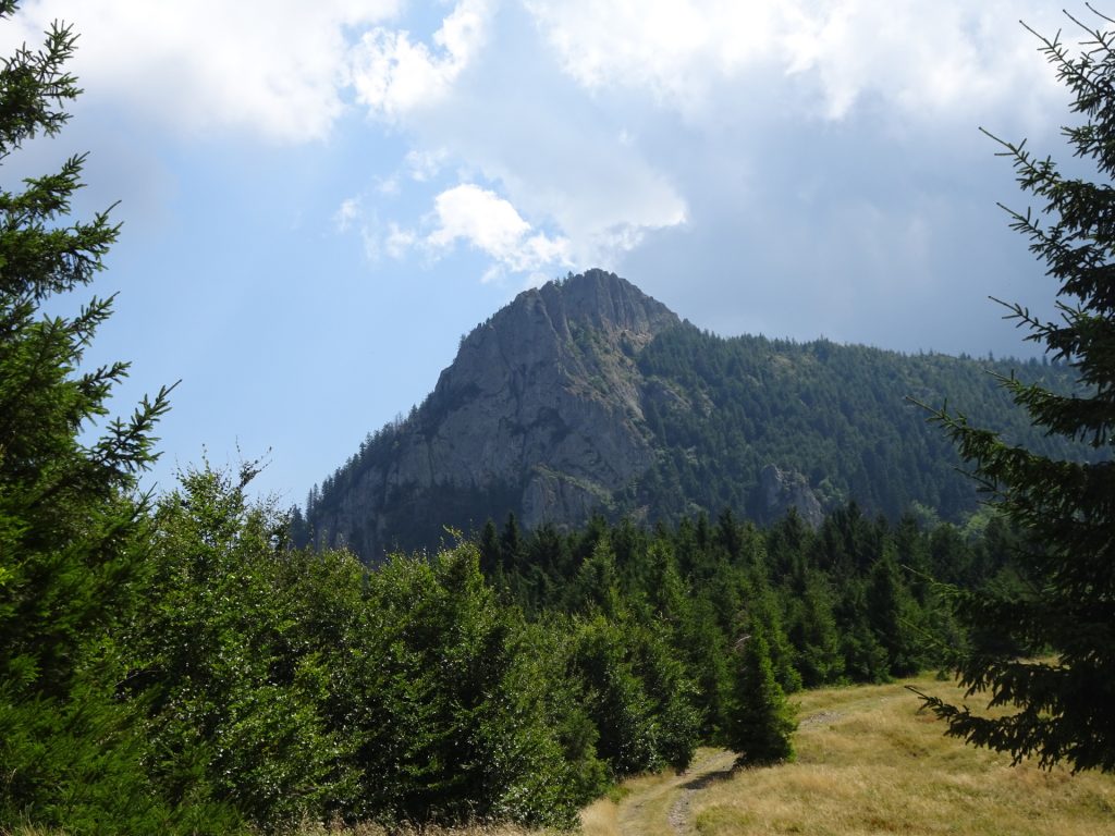 View towards "Creasta Cocoșului" from the trail