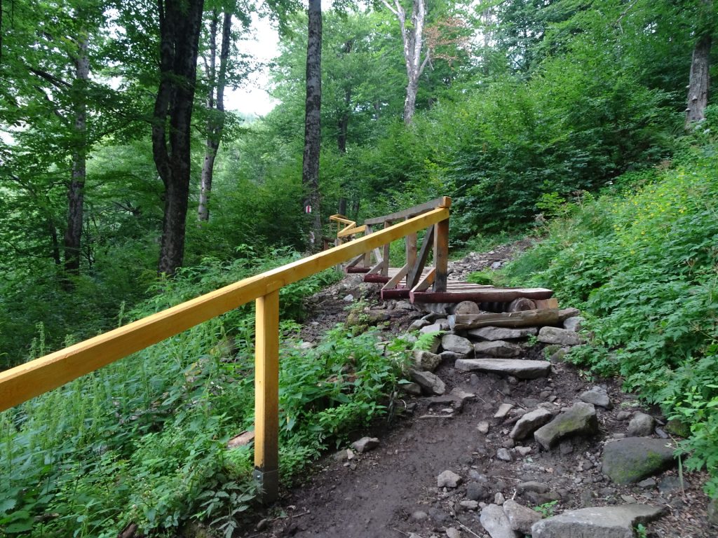 The steep trail up to "Creasta Cocoșului"