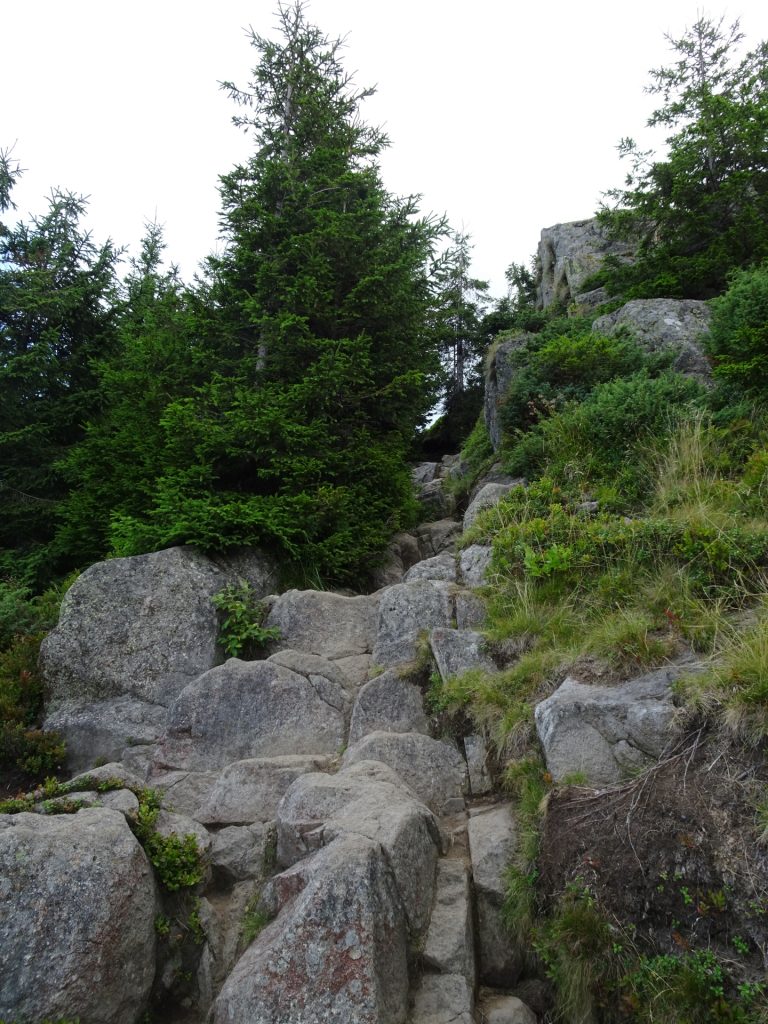 The "alpine" trail up to "Creasta Cocoșului"