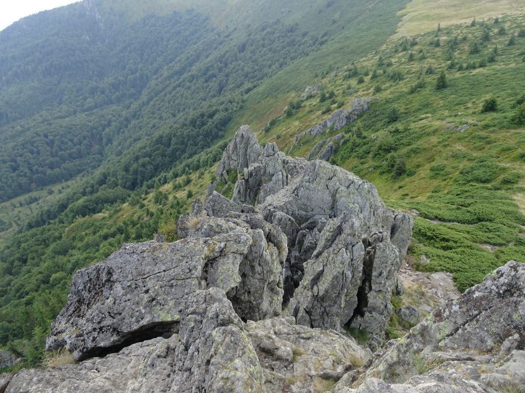 Climbing on "Creasta Cocoșului"