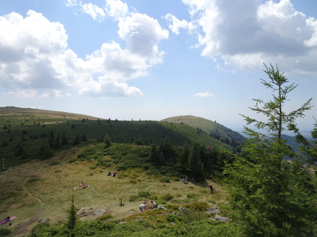 View from "Creasta Cocoșului"