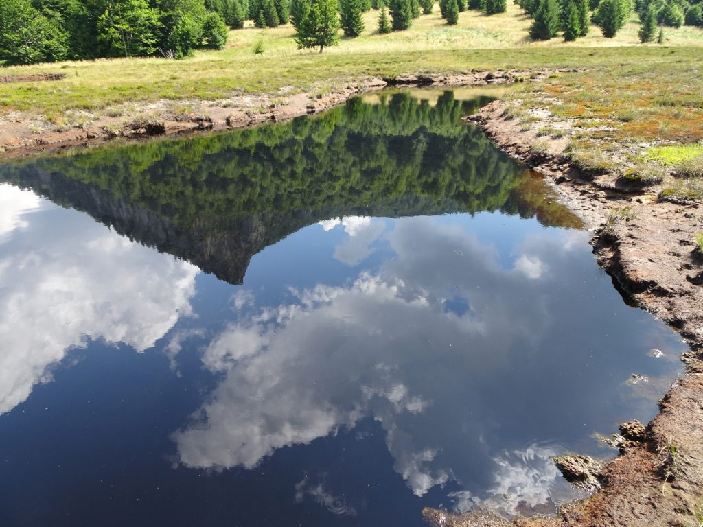 At the "Tâul Chendroaiei" lake