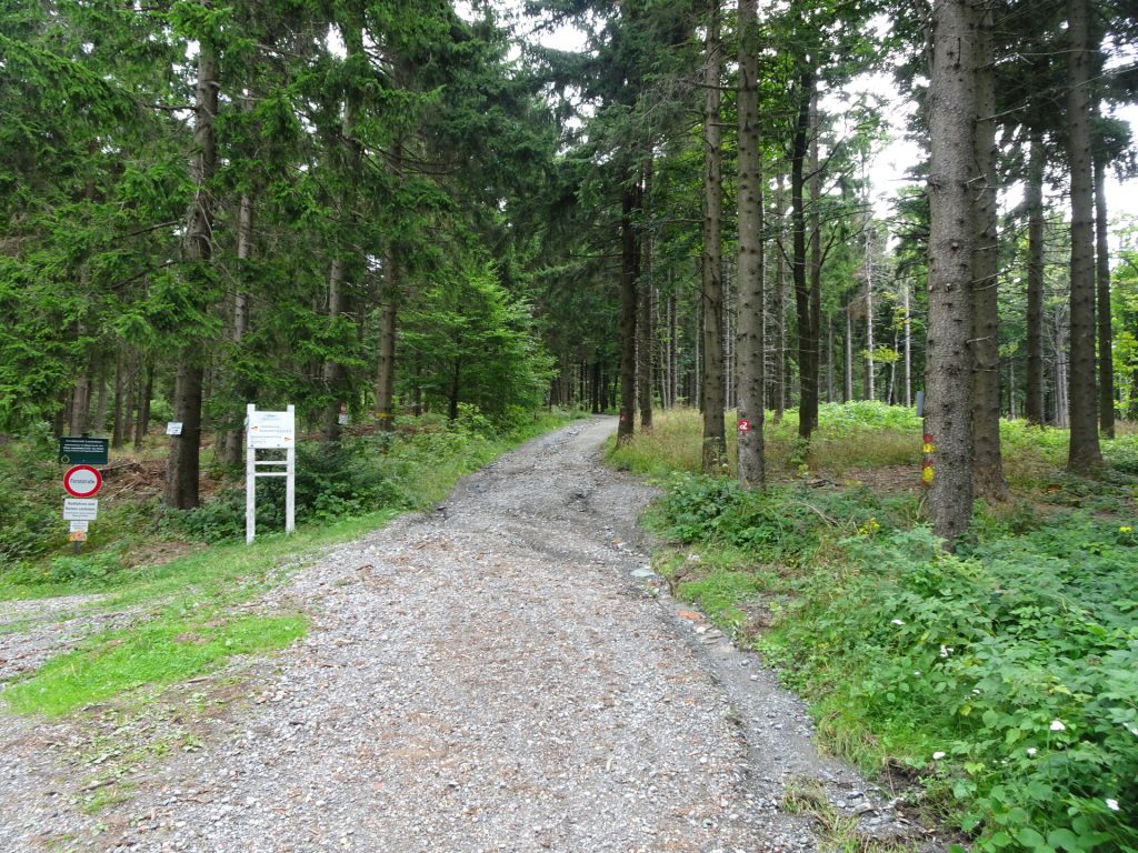 On the forest road towards "Geschriebenstein"