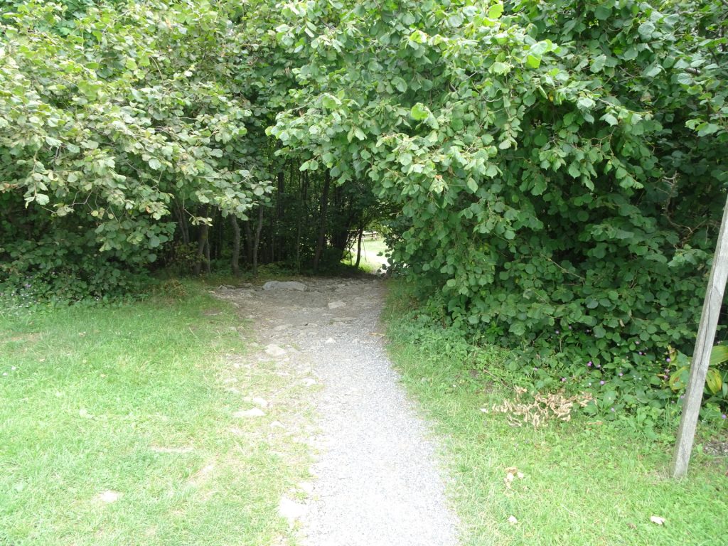 Trail on the Hungarian side 