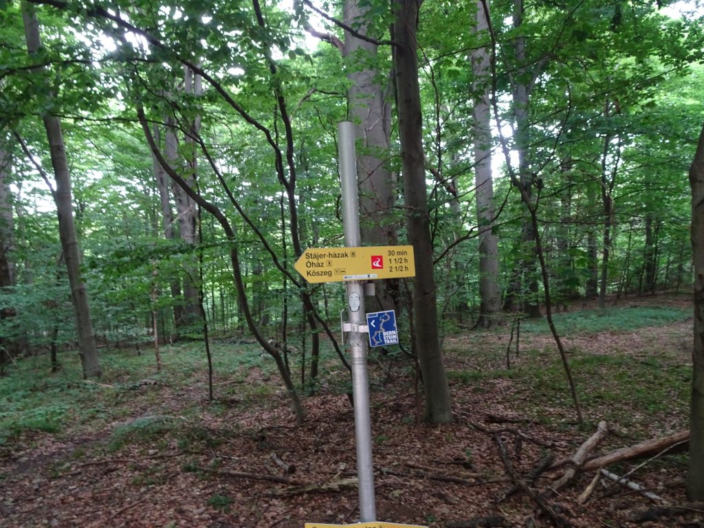 Follow the signpost towards "Kőszeg"