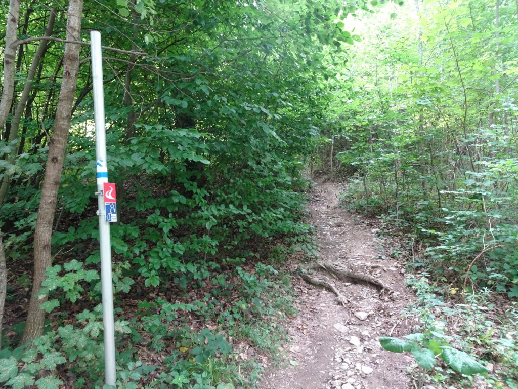 Turn right and follow this trail up towards "Óház-tető"