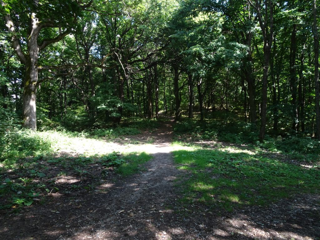 Trail towards "Kőszeg"