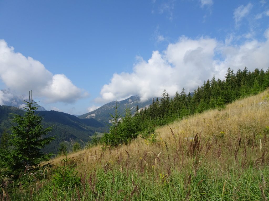 View from the trail to "Fahenköpfl"