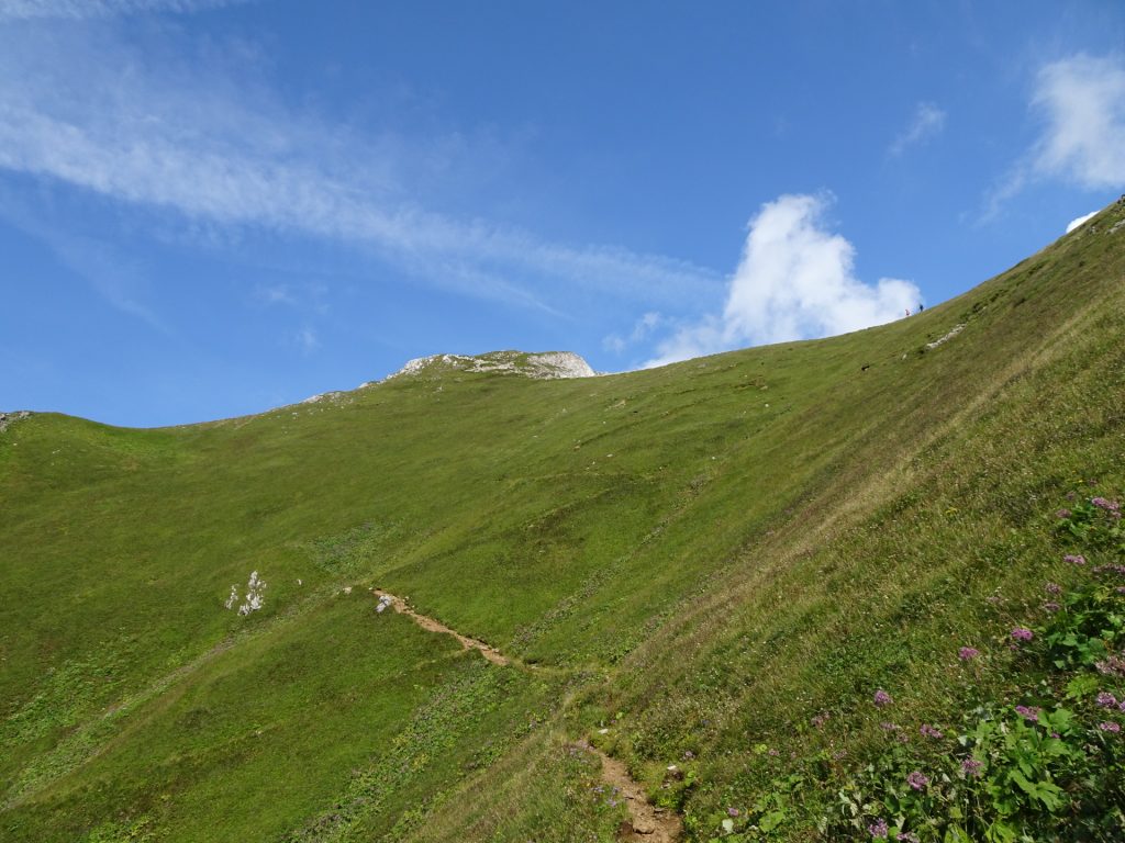 Trail to the summit of "Eisenerzer Reichenstein"