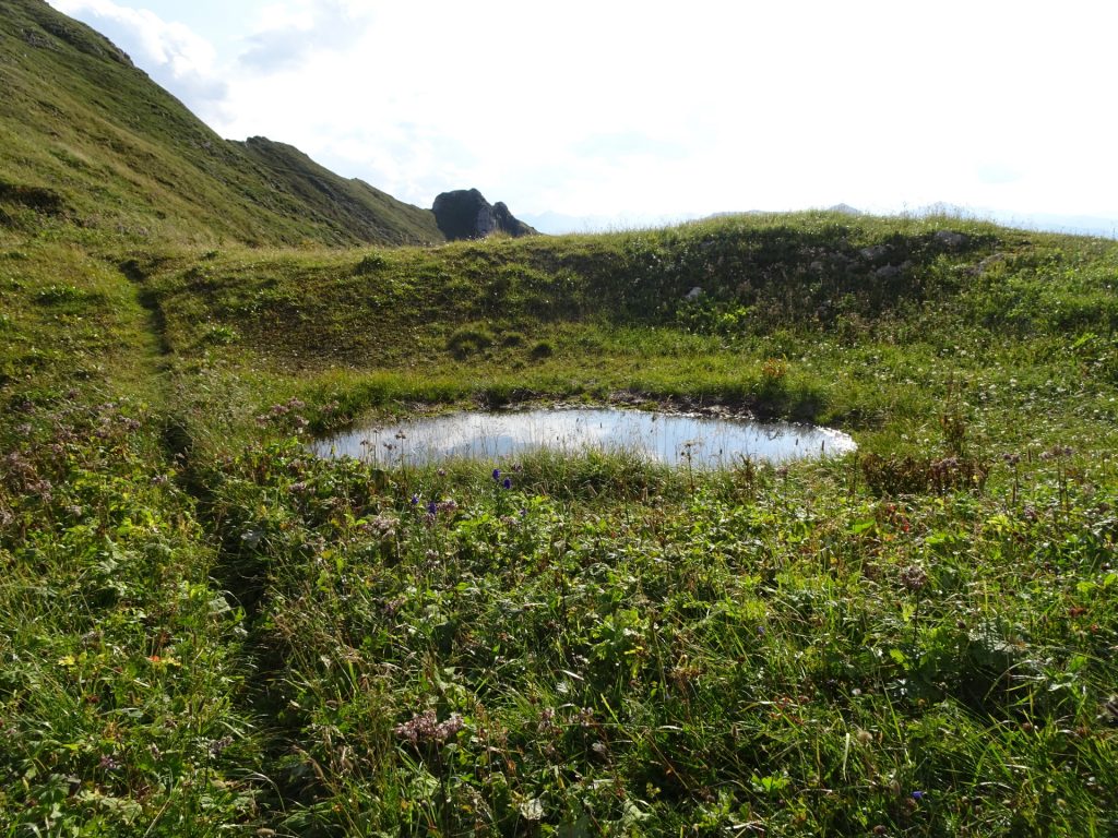 Small pond at "Reichenhals"