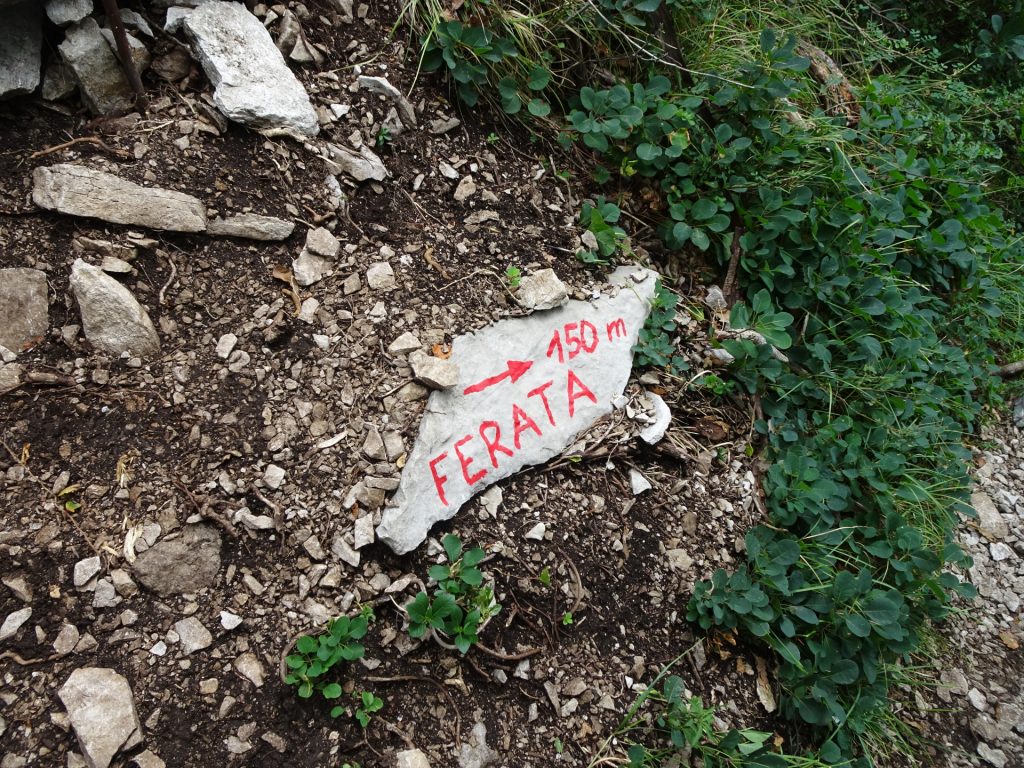 Follow the arrow towards the "Otmarjeva Pot" Via Ferrata