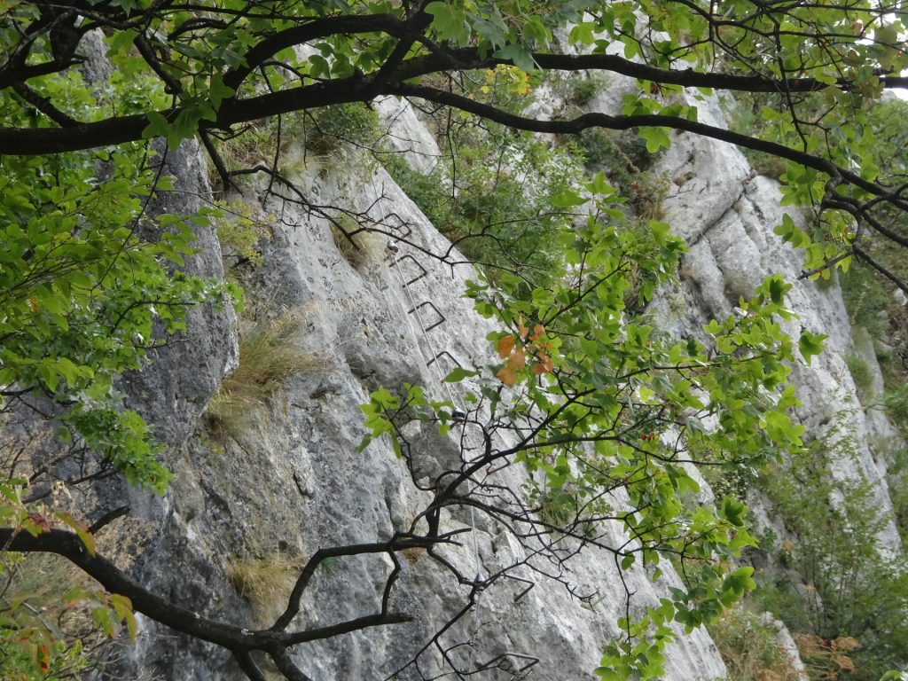 View towards "Otmarjeva Pot"