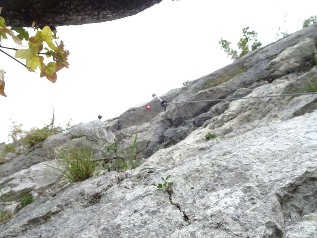 Climbing up "Otmarjeva Pot" (B/C)