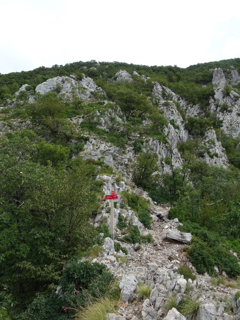 Turn right and follow the trail downwards towards "Otmarjeva Pot"