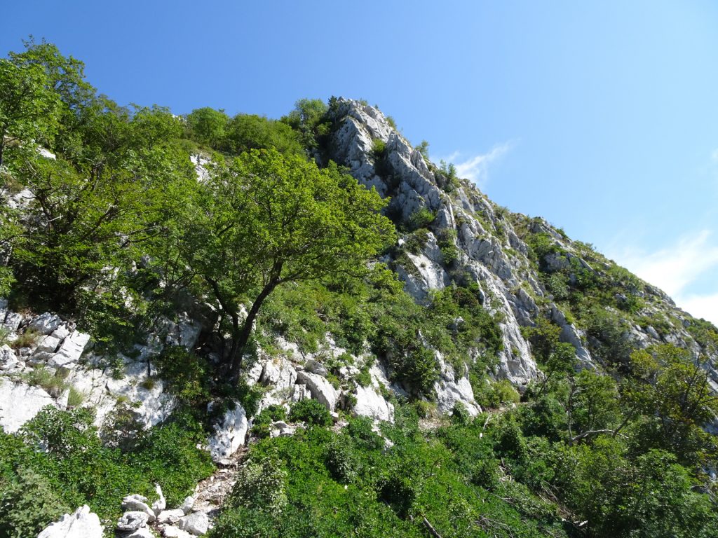 Towards the final ascent of "Otmarjeva Pot"