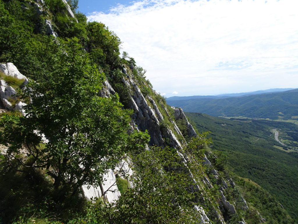 View from "Otmarjeva Pot"