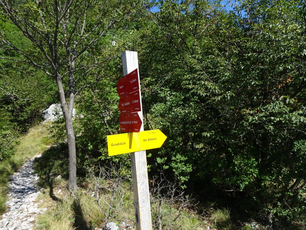 Turn right here and follow the trail downwards to "Gradišče"