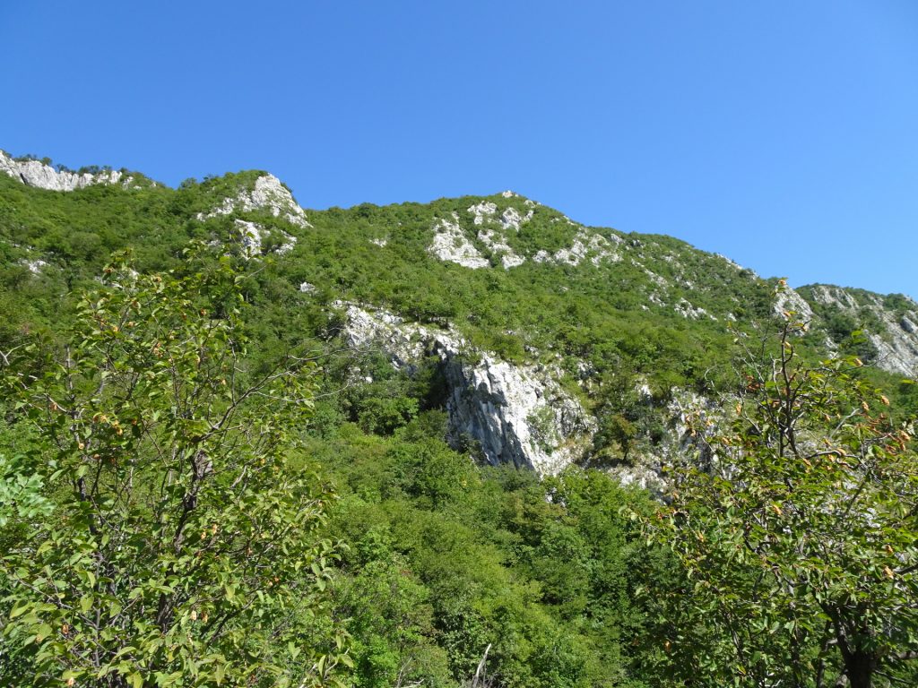 View from the trail downwards