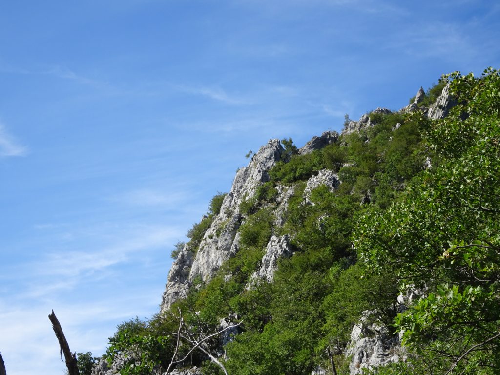 Descending back to "Gradišče"