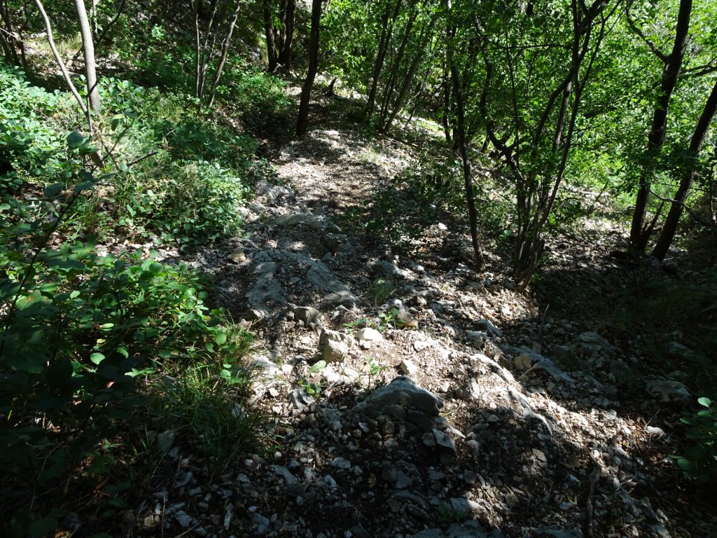 On the trail downwards to "Gradišče"