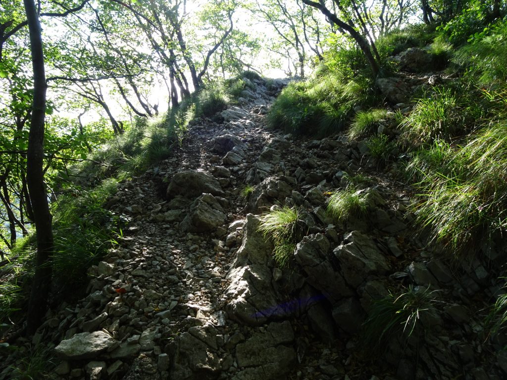 On the trail up to "Pleša"