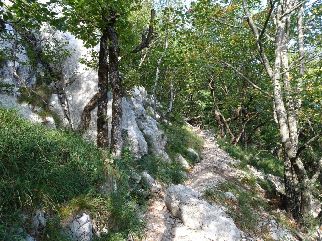 On the trail towards "Pleša"