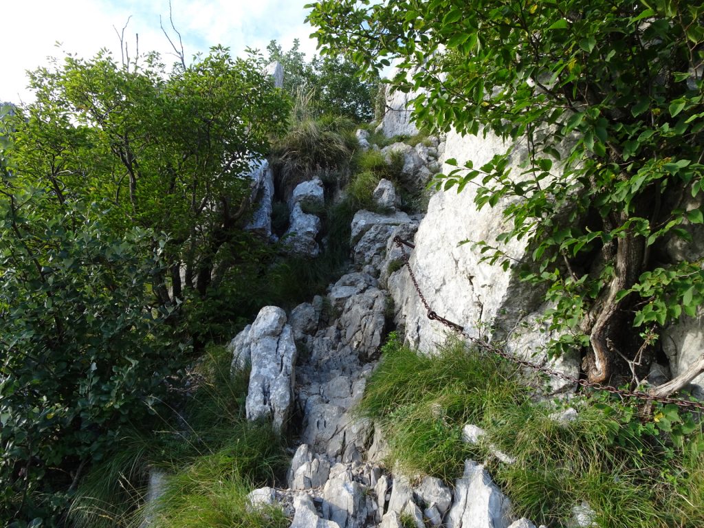 Climbing up the trail towards "Pleša"