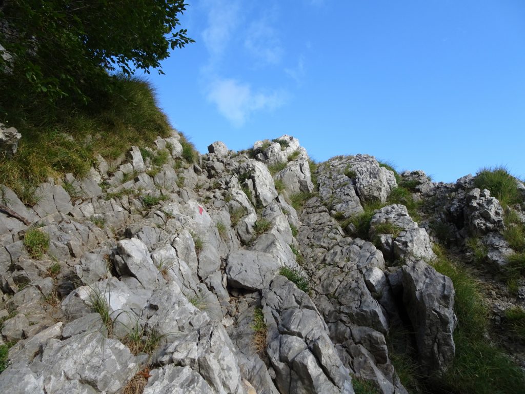 Climbing up towards "Pleša"