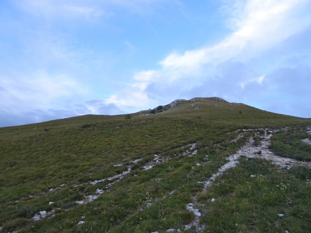 View back from the trail