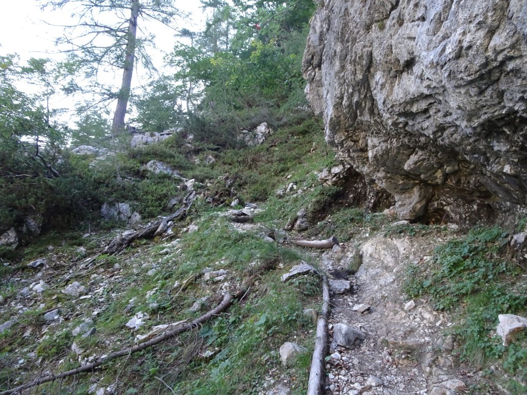 Hiking up "Tominškova Pot"