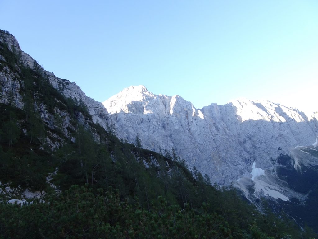 View from "Tominškova Pot"
