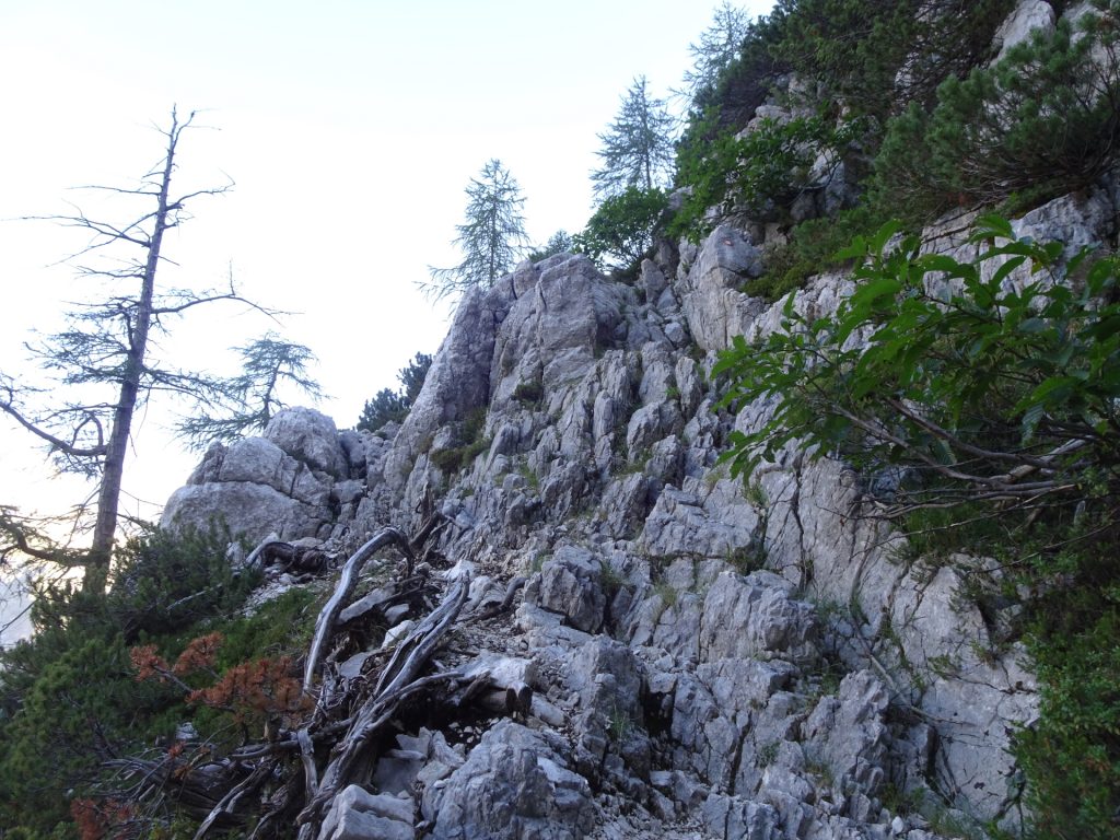 Climbing passage at "Tominškova Pot"