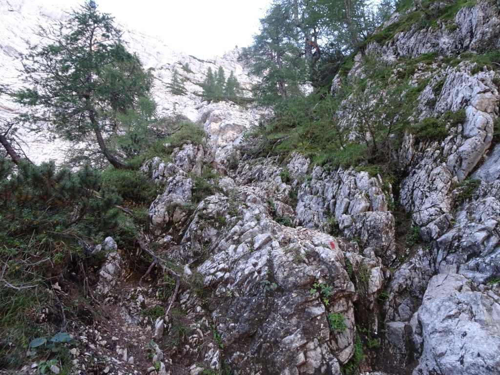 Climbing up the red marked route at "Tominškova Pot"