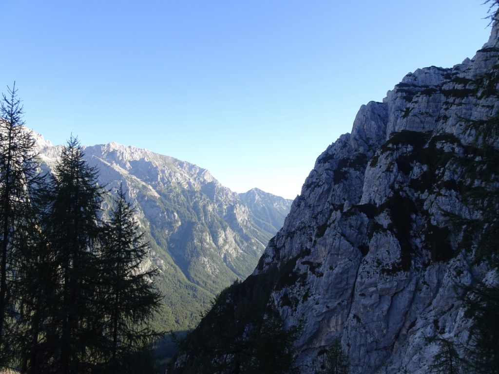 View from "Tominškova Pot"