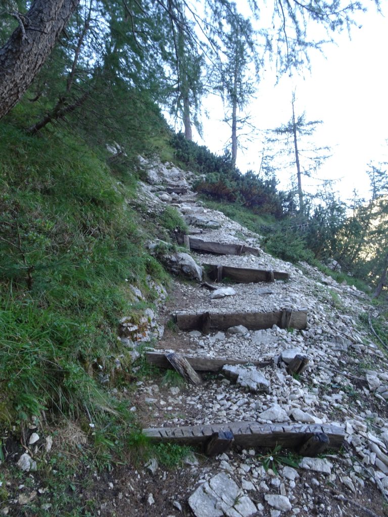 Hiking up "Tominškova Pot"