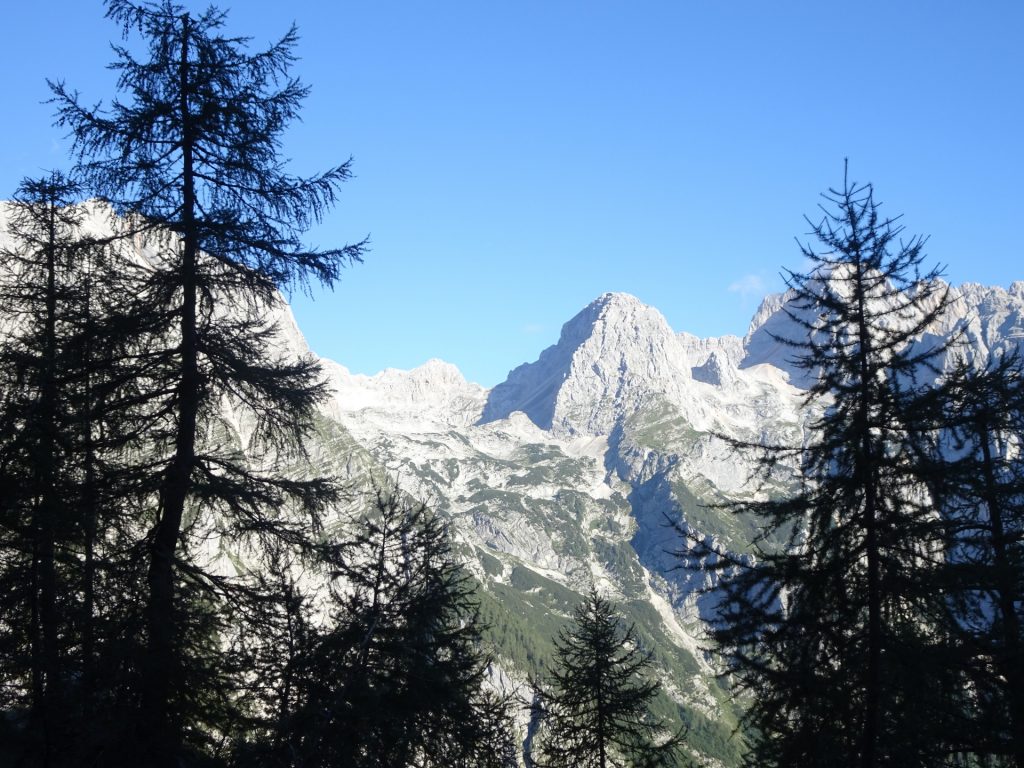 View from "Tominškova Pot"