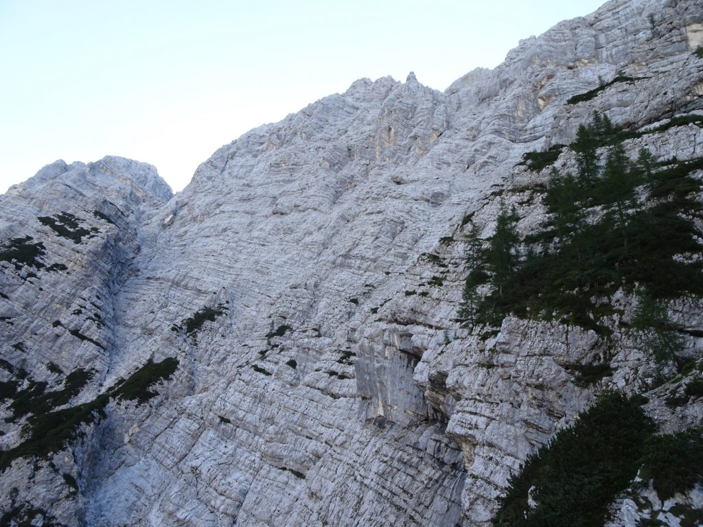 View from "Tominškova Pot"