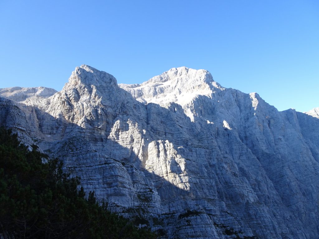 View from "Tominškova Pot"