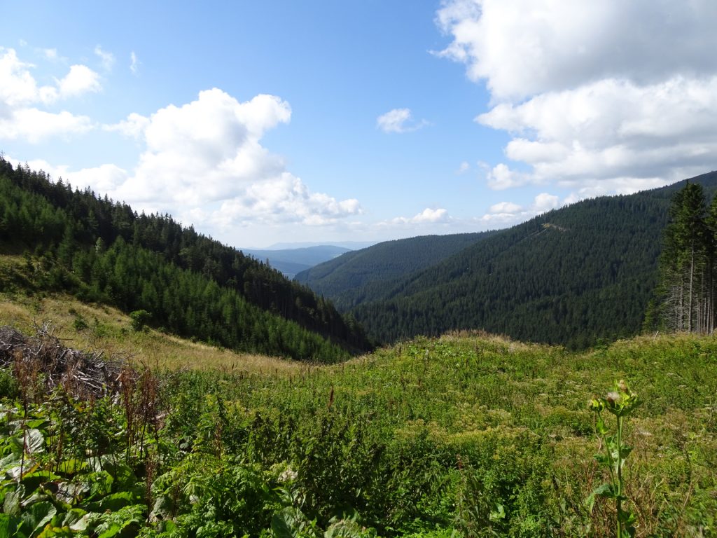 At the "Paffensattel" pass