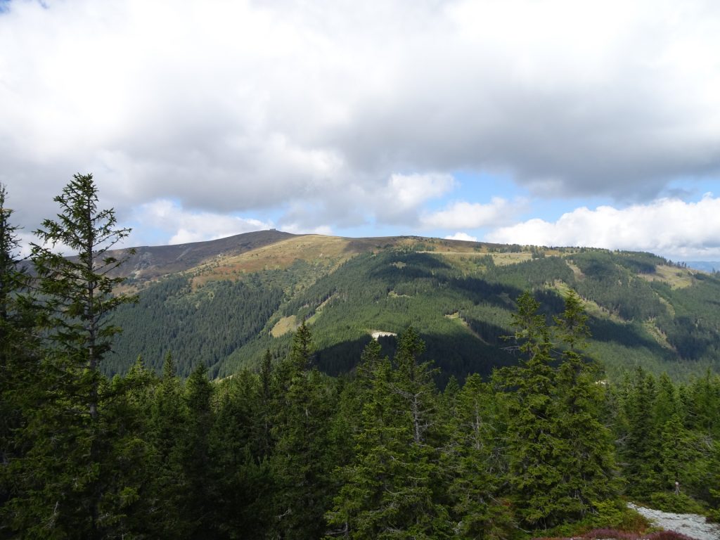 View towards "Stuhleck" from "Grabmayr-Kogel"