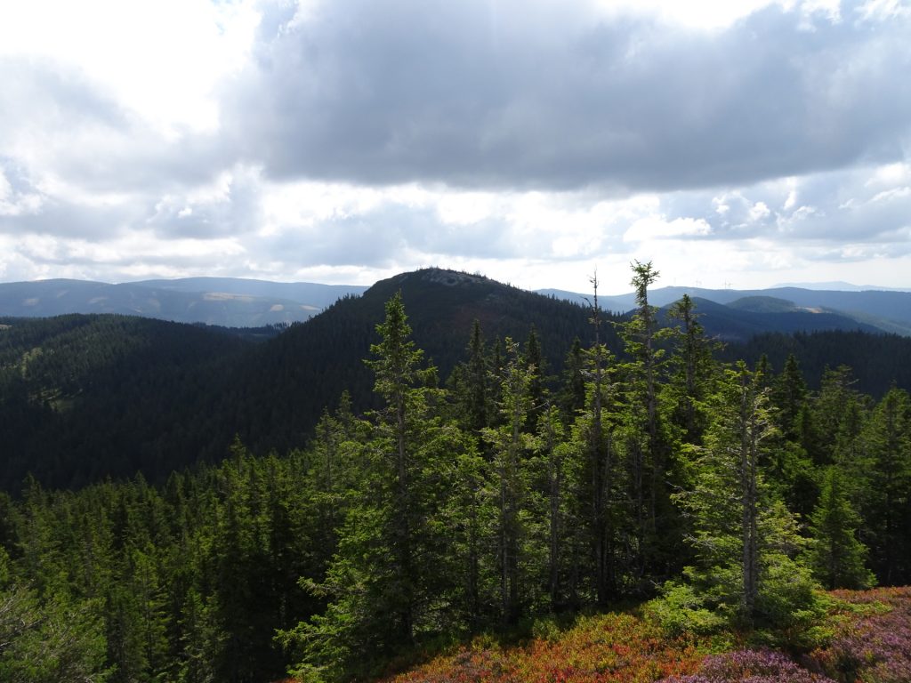 View from "Kleiner Pfaff"