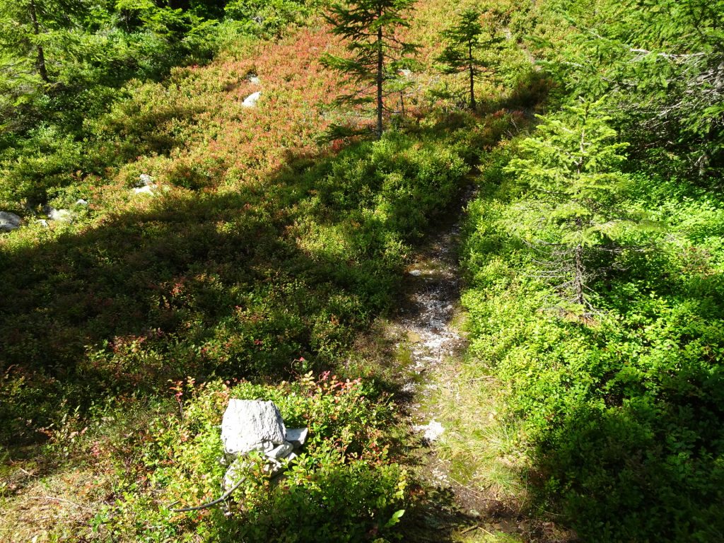 Descending from "Kleiner Pfaff"