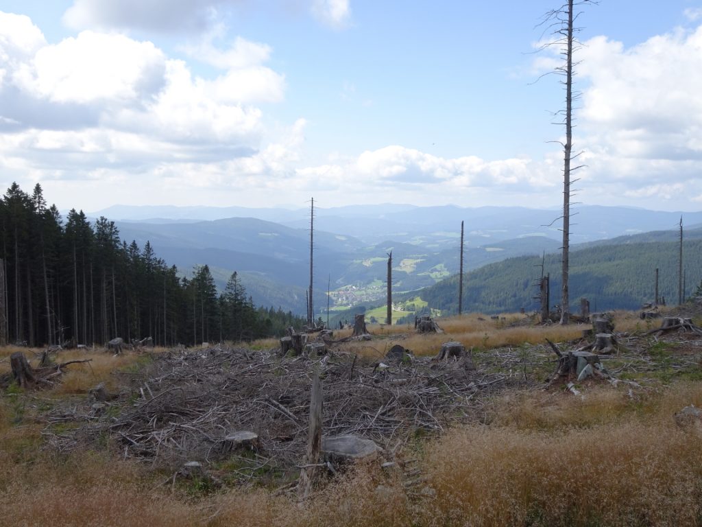 View from the saddle between "Kleiner Pfaff" and "Großer Pfaff"