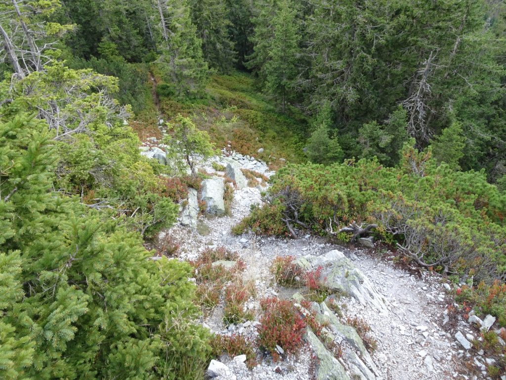 Descending from "Großer Pfaff"