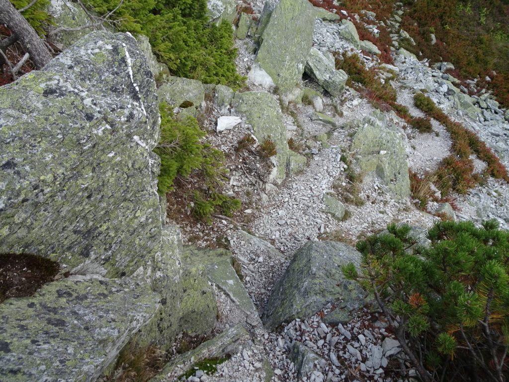 Some (easy) climbing on the descent of "Großer Pfaff"